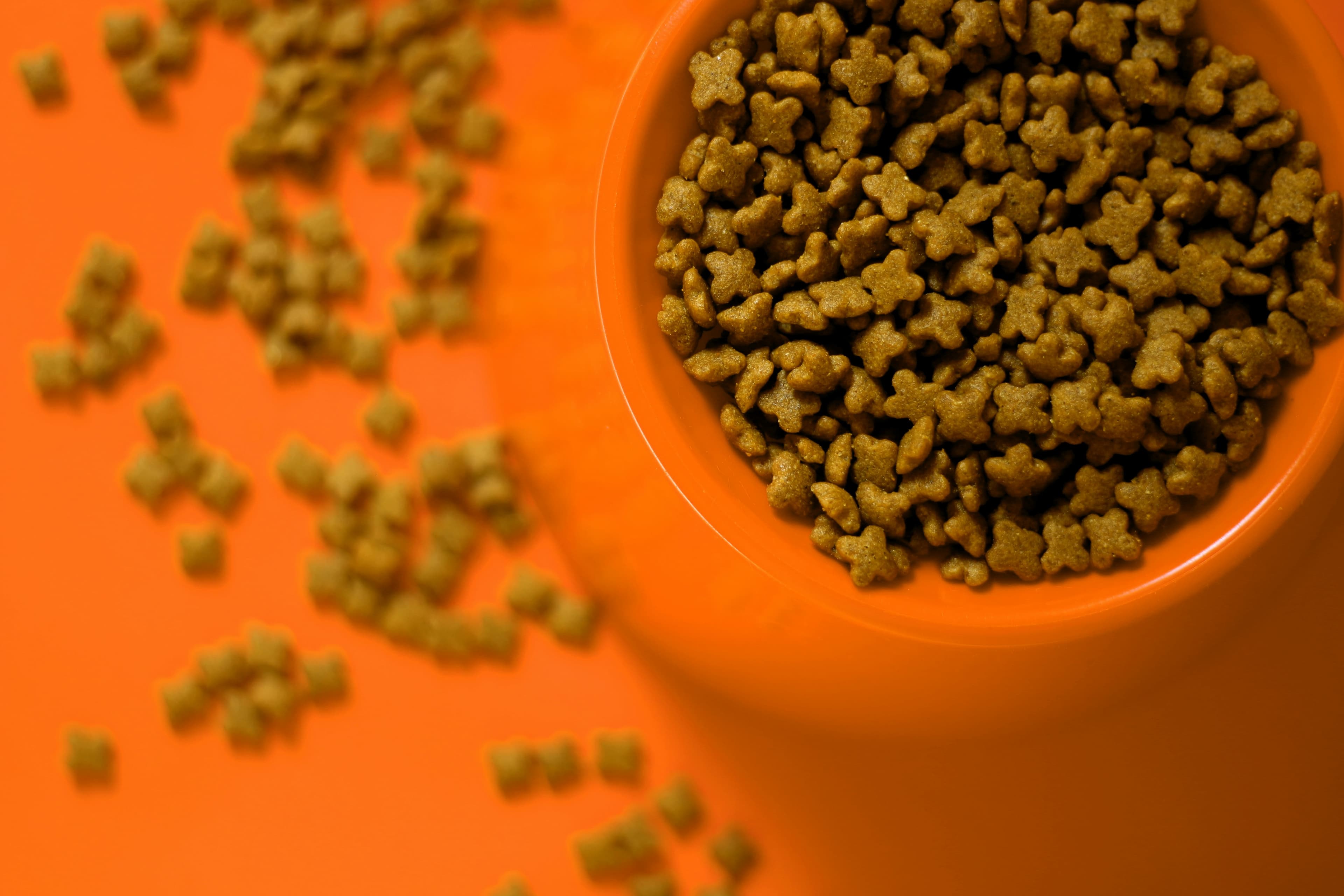 Pet Foods